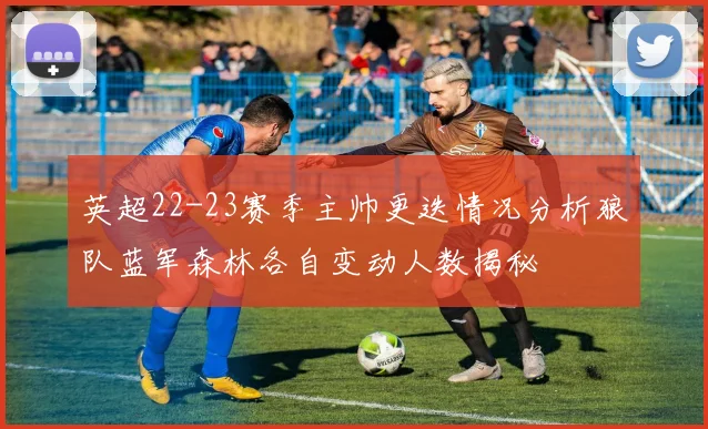 英超22-23赛季主帅更迭情况分析狼队蓝军森林各自变动人数揭秘