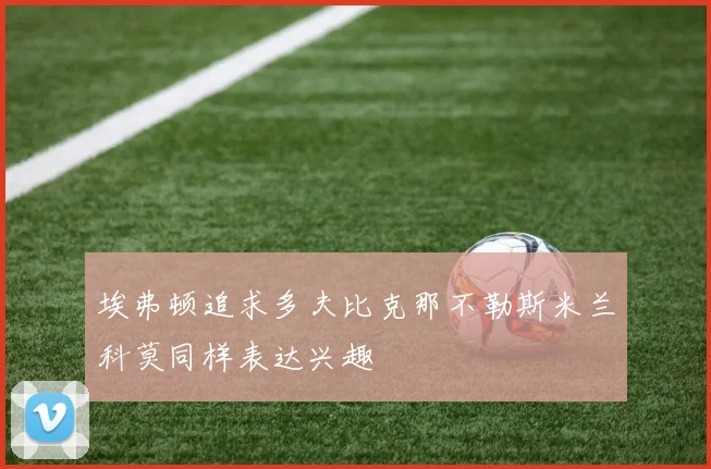 埃弗顿追求多夫比克那不勒斯米兰科莫同样表达兴趣