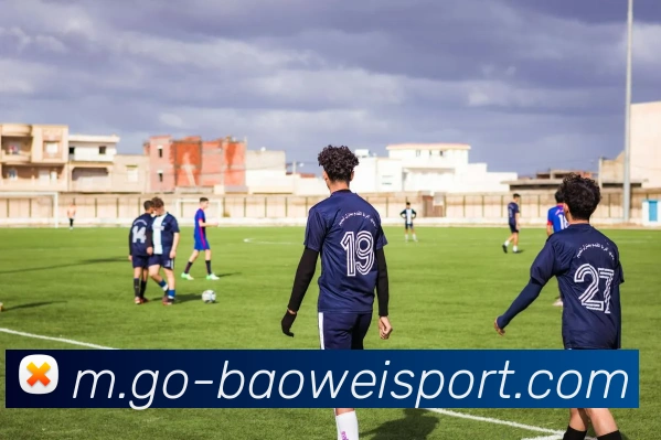 宝威体育平台生态图