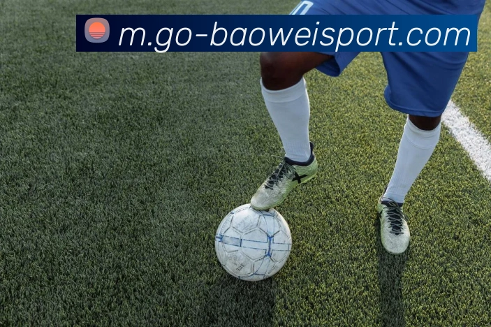 宝威体育全站App