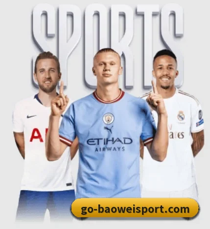 宝威体育 APP(BOWWAYSPORTS)